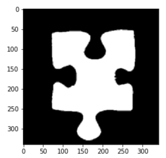 Image of a scanned puzzle piece